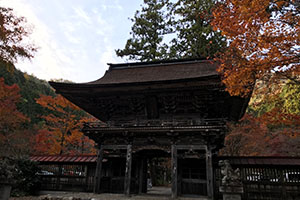 岐阜県の紅葉名所大矢田神社
